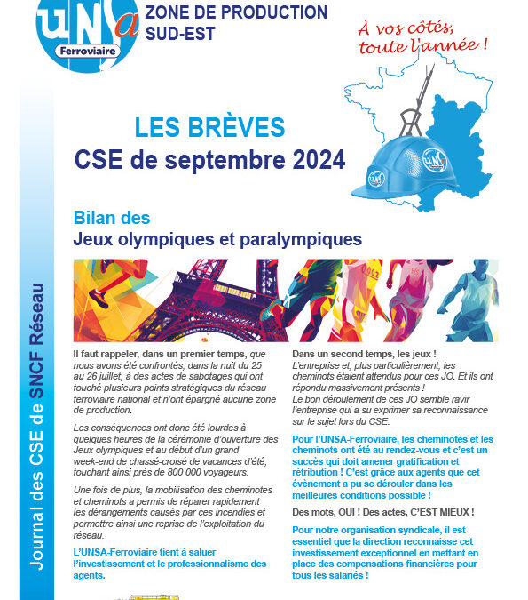 CSE Réseau – ZPSE