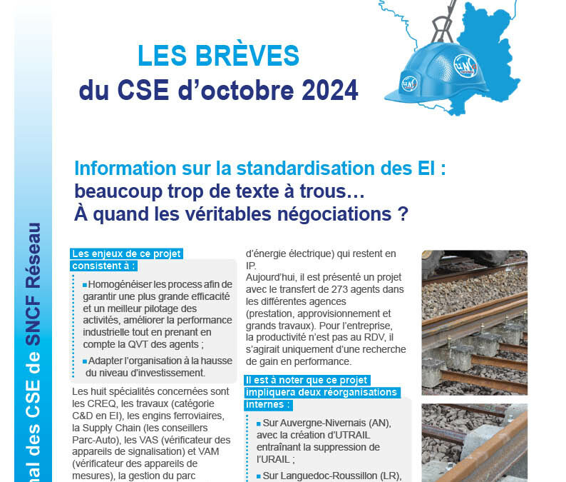 CSE Réseau – ZPSE