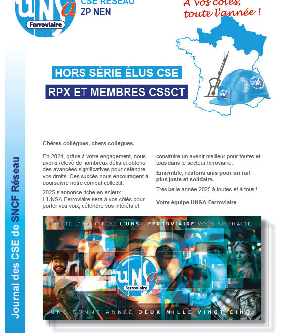 CSE Réseau – ZP NEN